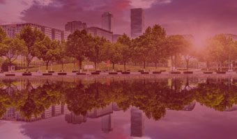 Bäume vor einer Stadt am Fluss