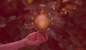 Hand hält leuchtende Pflanze die umgeben ist von Umweltsymbolen